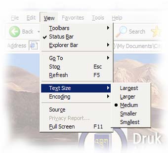 Internet Explorer