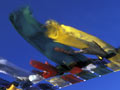 Prayer flags in Leh.