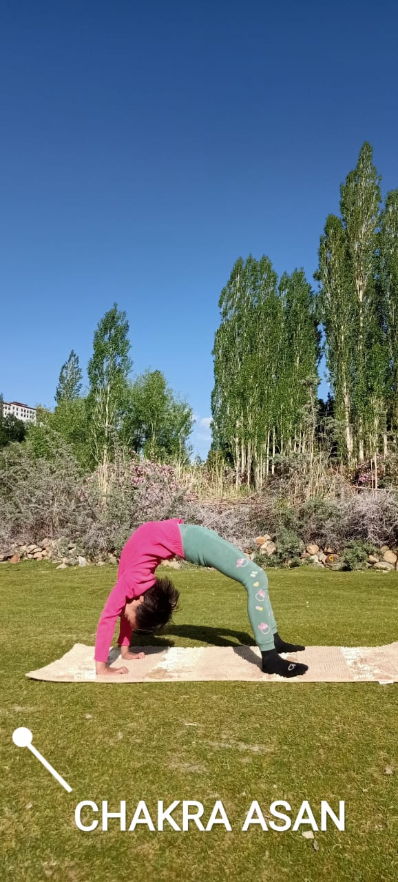 Yoga Day 2