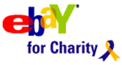 eBay for charity logo