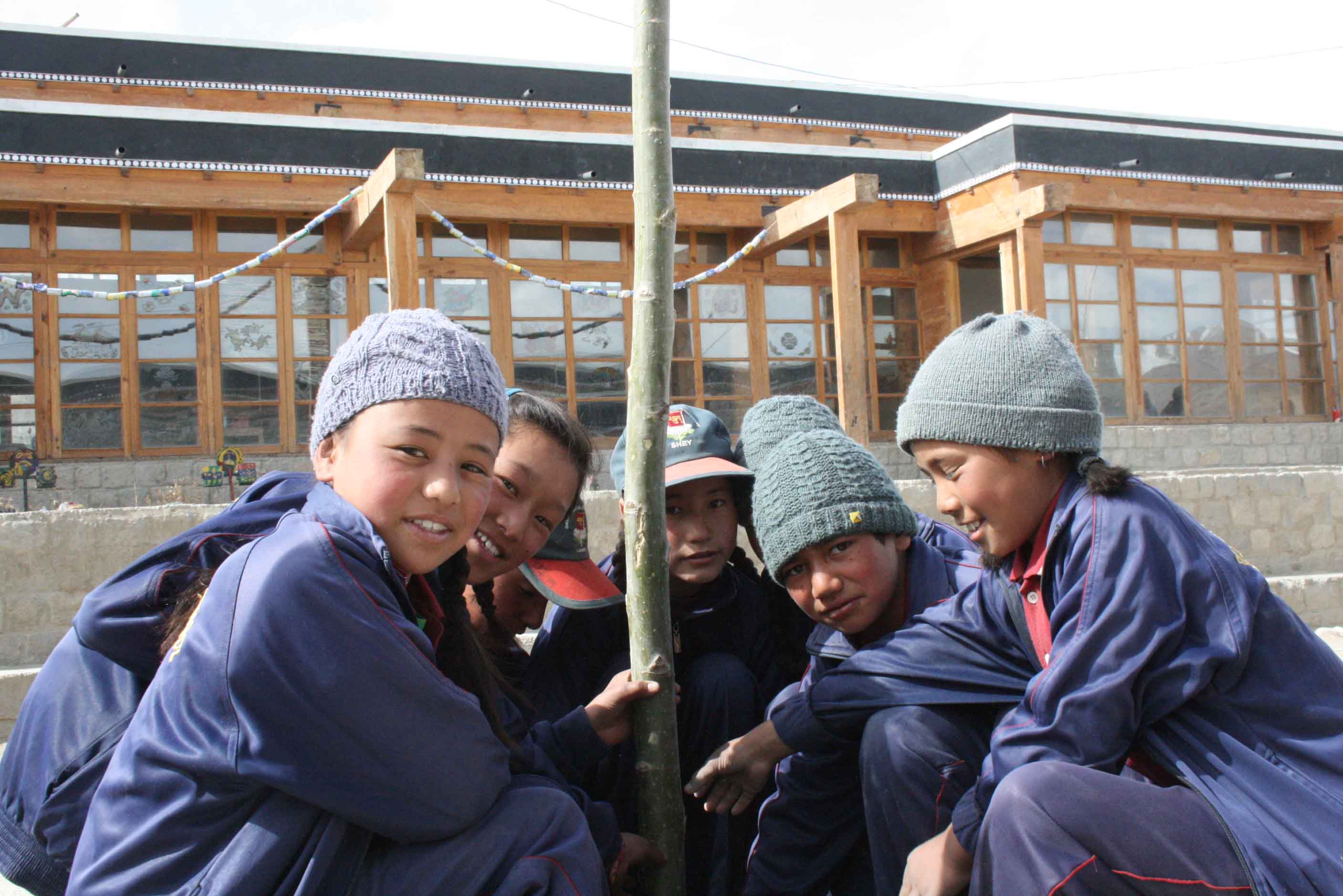 tree-planting-2621-thumbnail