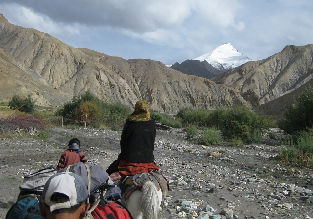 On the way to the Markha valley, Ladakh