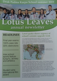 Lotus Leaves 2019