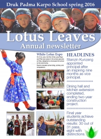 Lotus Leaves 2016