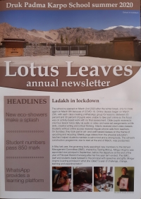 Lotus Leaves 2020